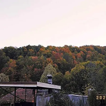Хотел Forest View, Pet Friendly With A Garden Габрово