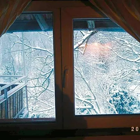 Forest View, Pet Friendly With A Garden ホテル